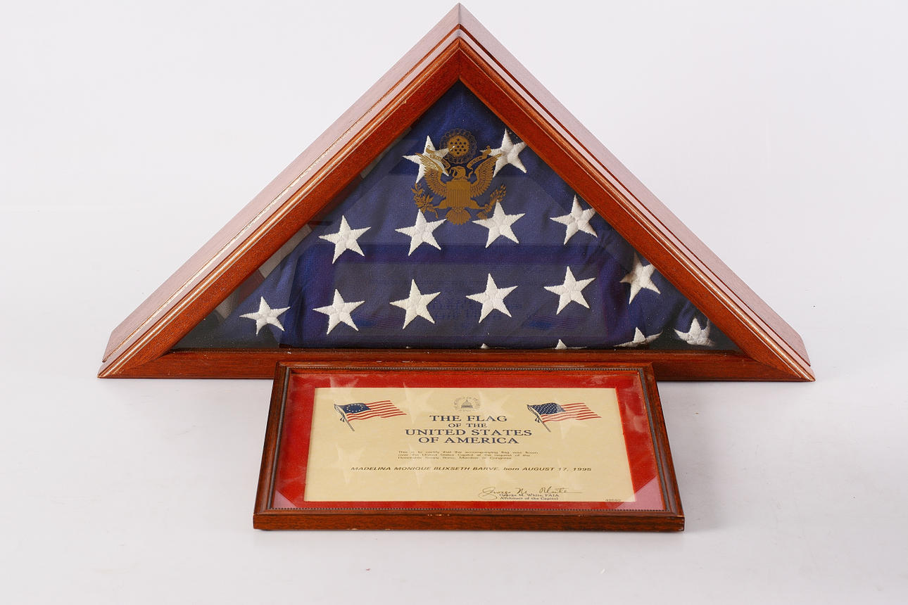 AMERICAN FLAG, flown over the White House.