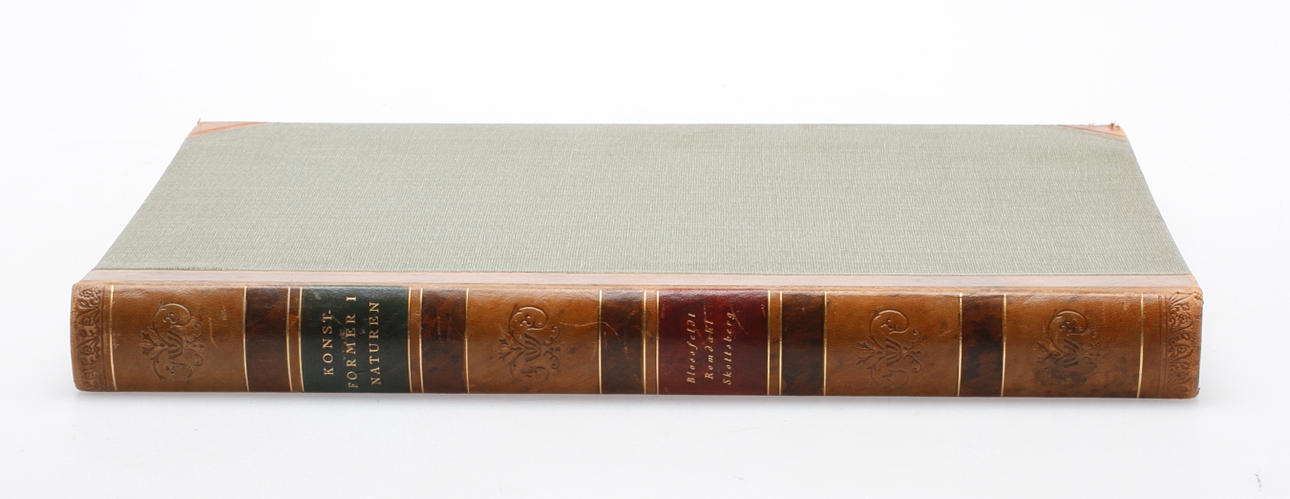 KARL BLOSSFELDT (1865-1932), "Konstformer i naturen", Natur och Kultur, Stockholm 1930.