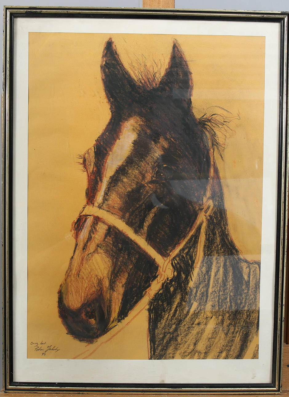 PETER JACOBY. Tegning, Hestehoved, signeret, dateret -79.