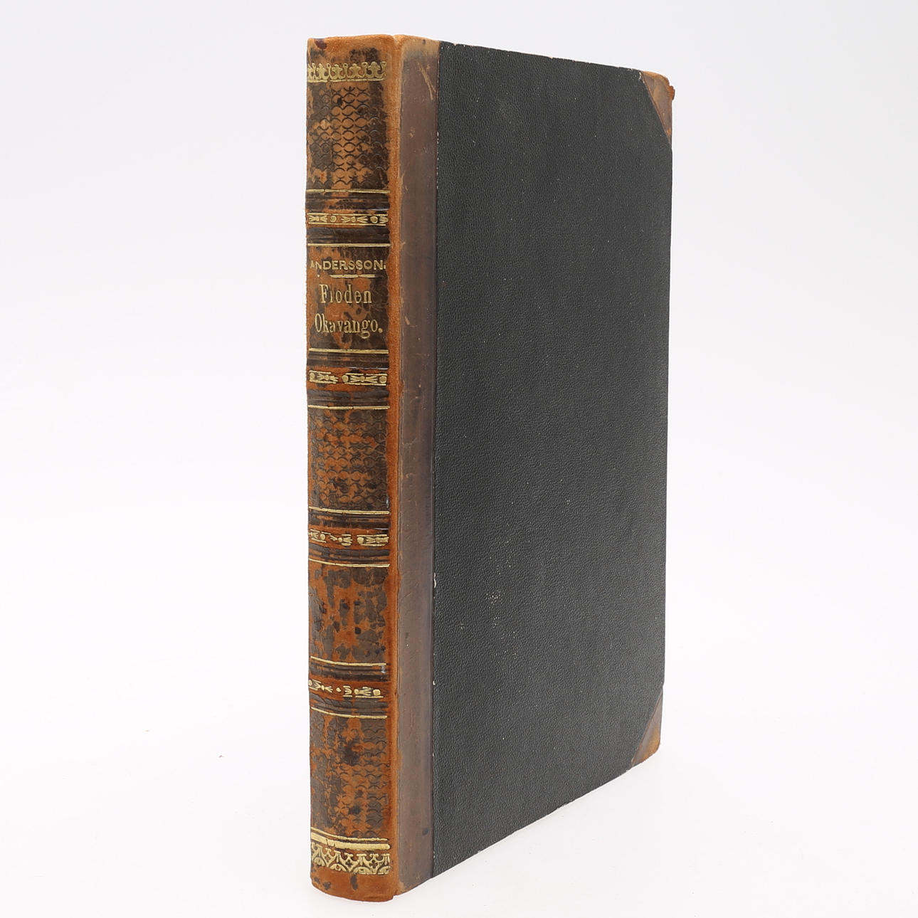 AFRIKA. CHARLES JOHN ANDERSSONS FLODEN OKAVANGO 1861.