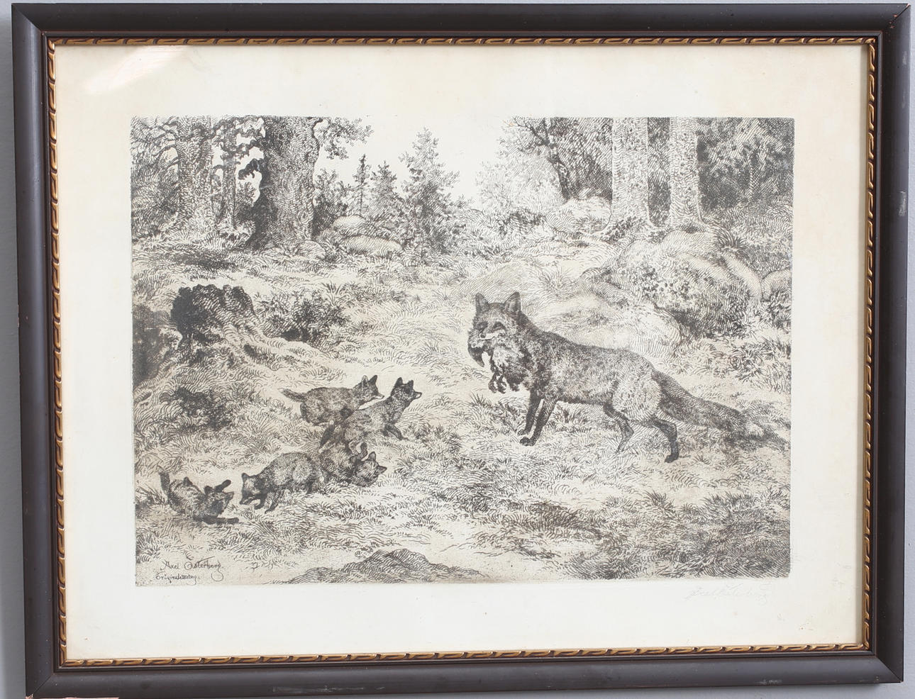 AXEL ÖSTERBERG. Female fox with cubs, etching.