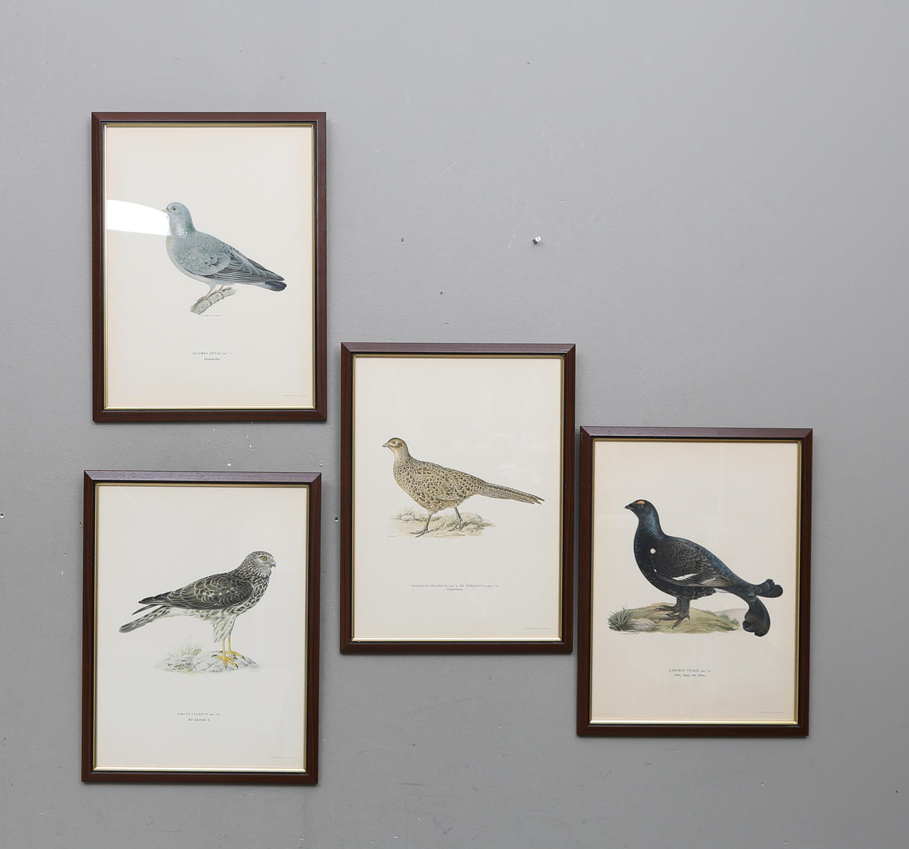 LITOGRAFISKA TRYCK, 4 st, bland annat efter von Wright, A. Börtzell.