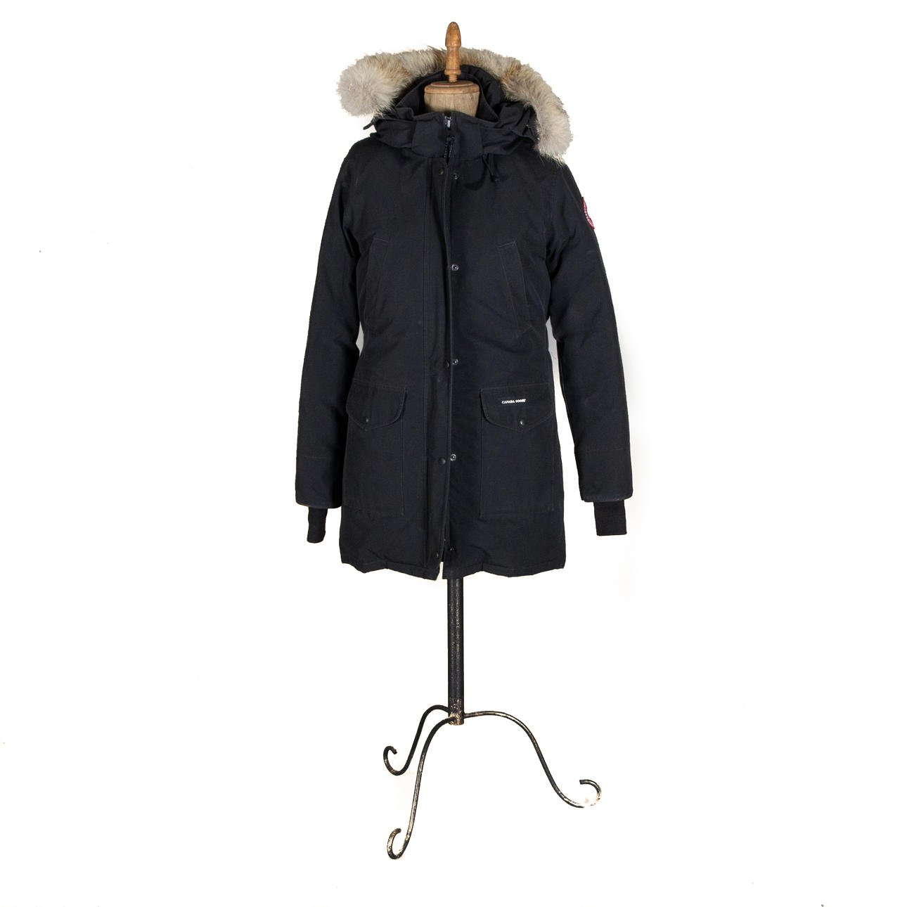 TAKKI, Kanadan hanhi.