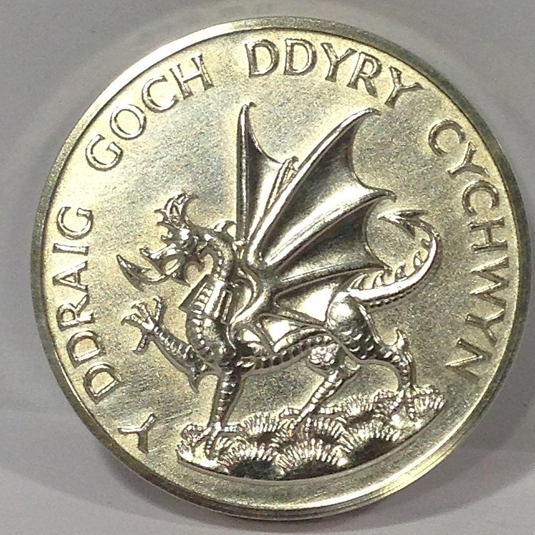 SOLID SILVER PRINCE OF WALES MEDALLION.