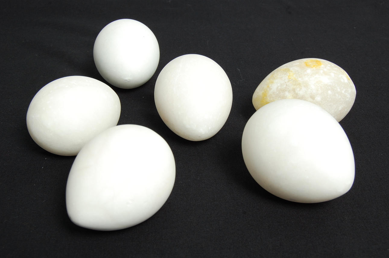 ÄGG, 6 st carraramarmor 1900-tal.