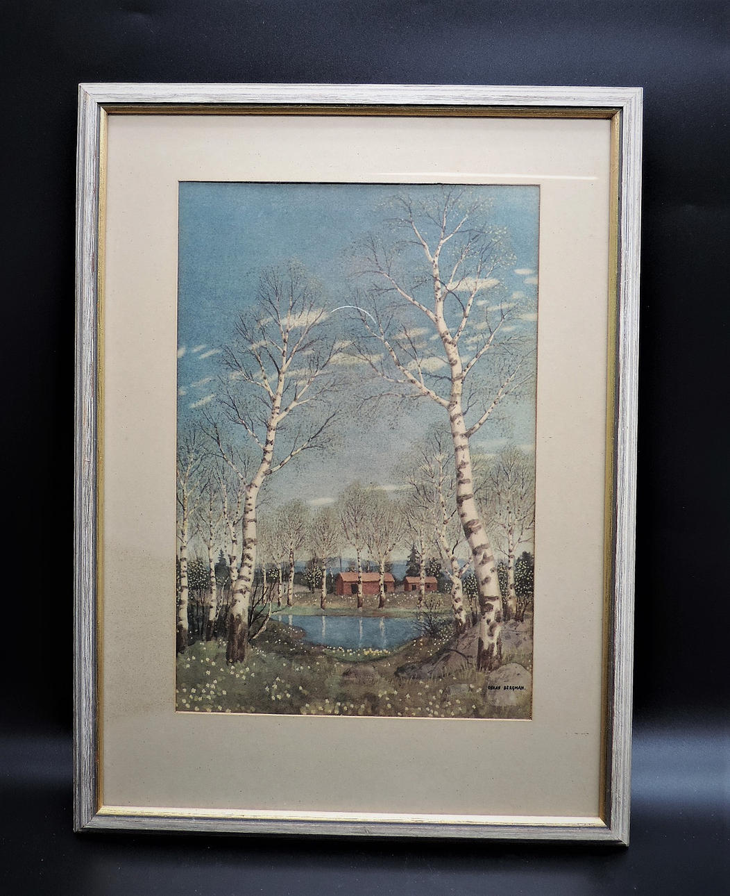OSKAR BERGMAN. Tryk Birke og sommerhus.