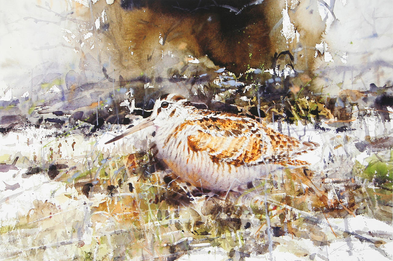 JONAS NILSSON. Bird, giclée print no. 23/60, signed.