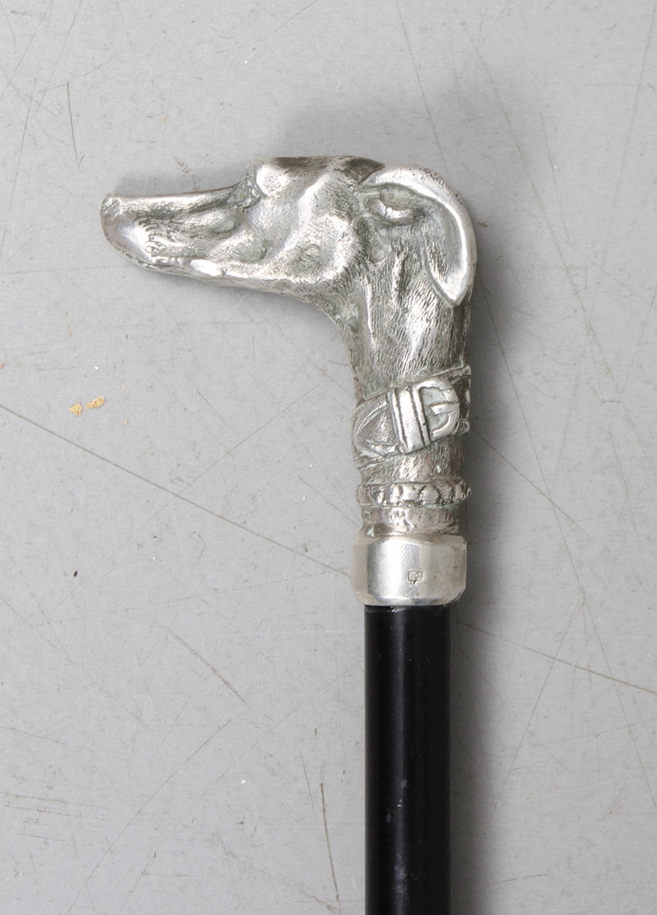 KÄPP MED SILVERKRYCKA, sekelskiftet 1900.