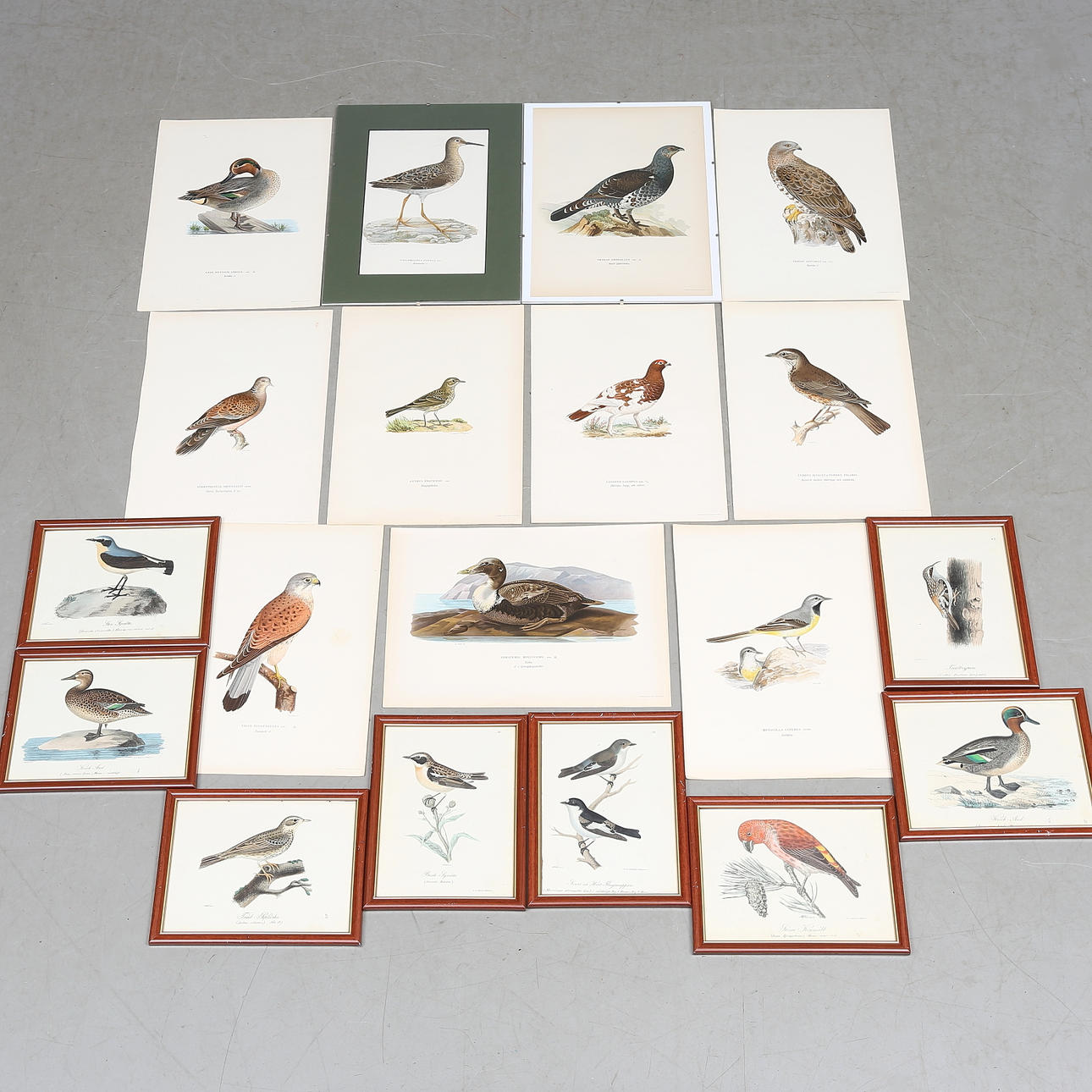 FUGLEPLADER, 19 stk.