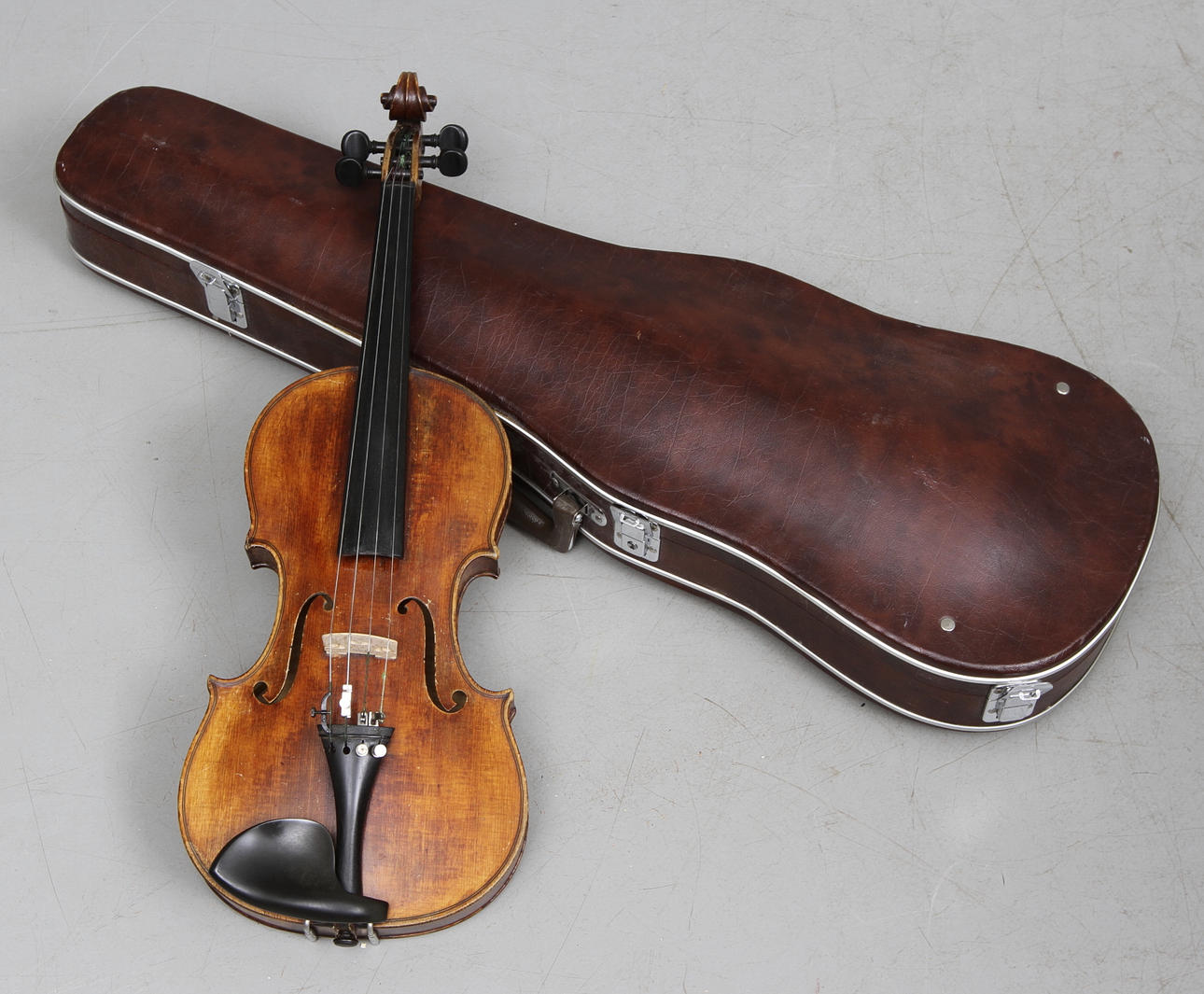 FIOL, F. Patzelt, Dresden 1907.