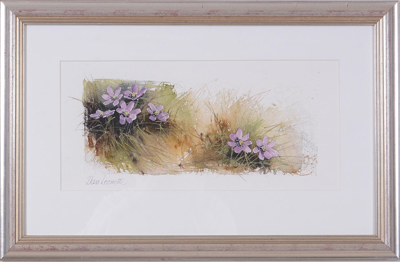 DAN LEONETTE. Akvarell.