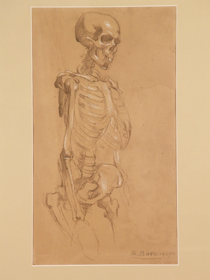 ANDREAS BACH. "Memento Mori - Skeleton Study", 1906/07, black charcoal.