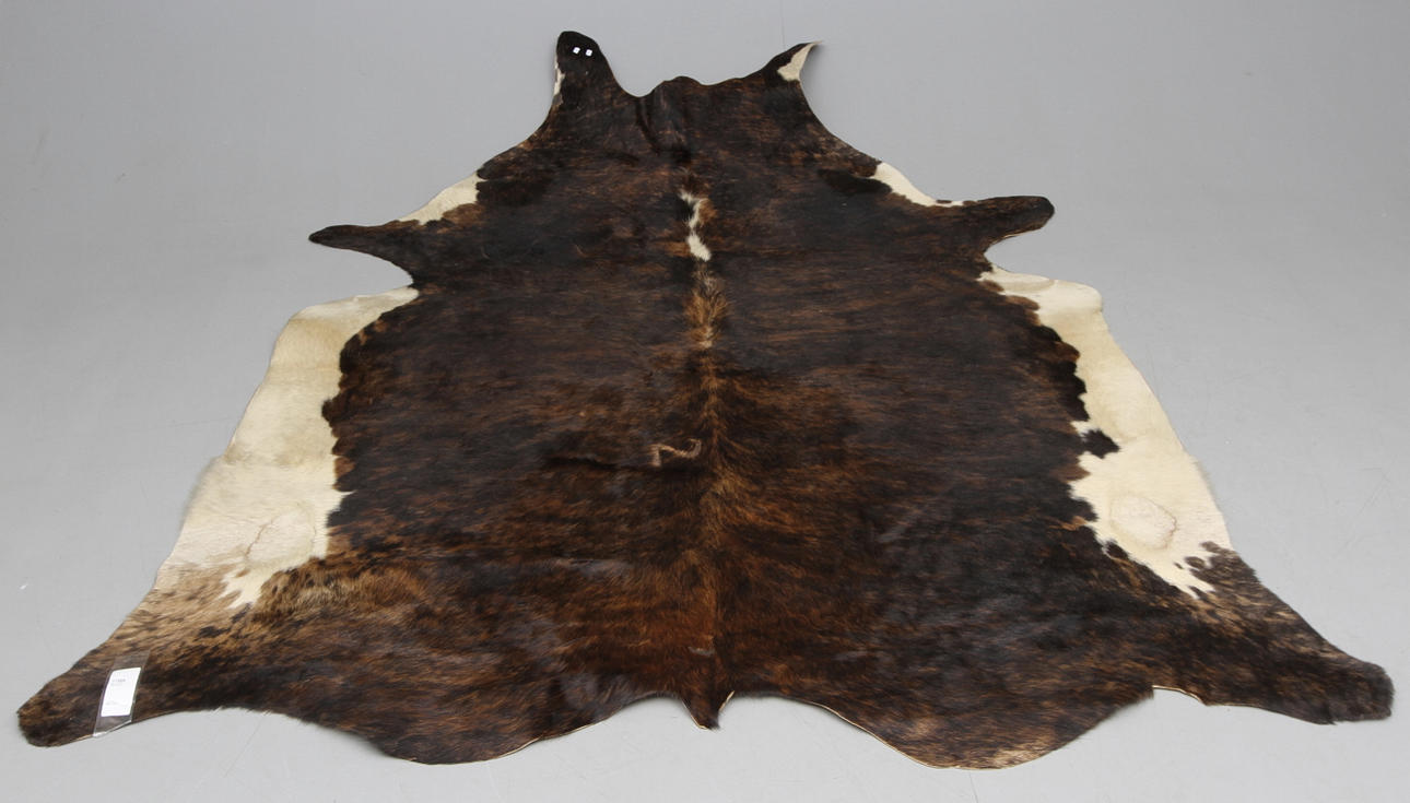 MATTA, Oxhud, 1900/2000 tal.