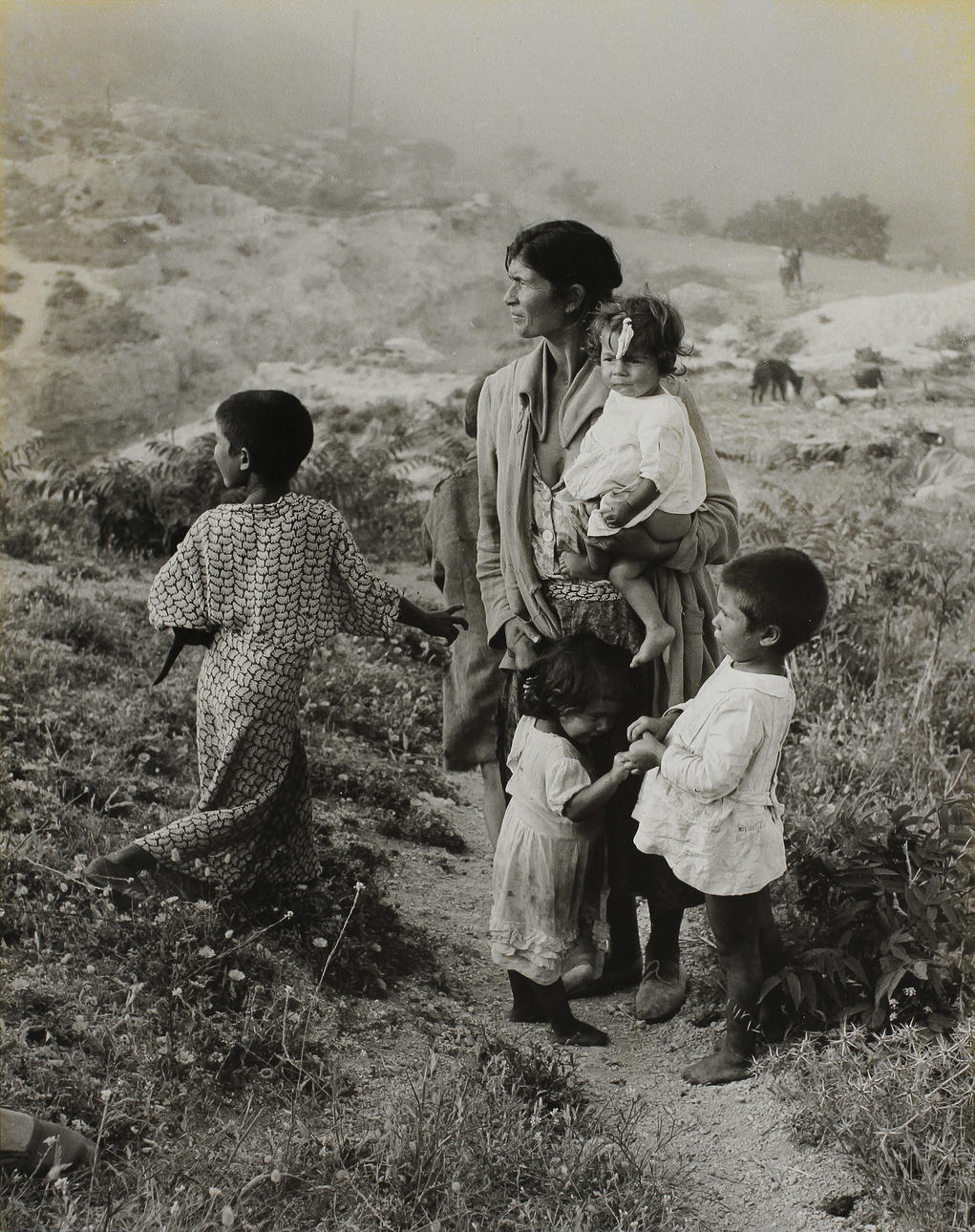 STEN DIDRIK BELLANDER. silvergelatin, sign a tergo samt stämplad, "Sten Didrik Bellander Tiofoto".