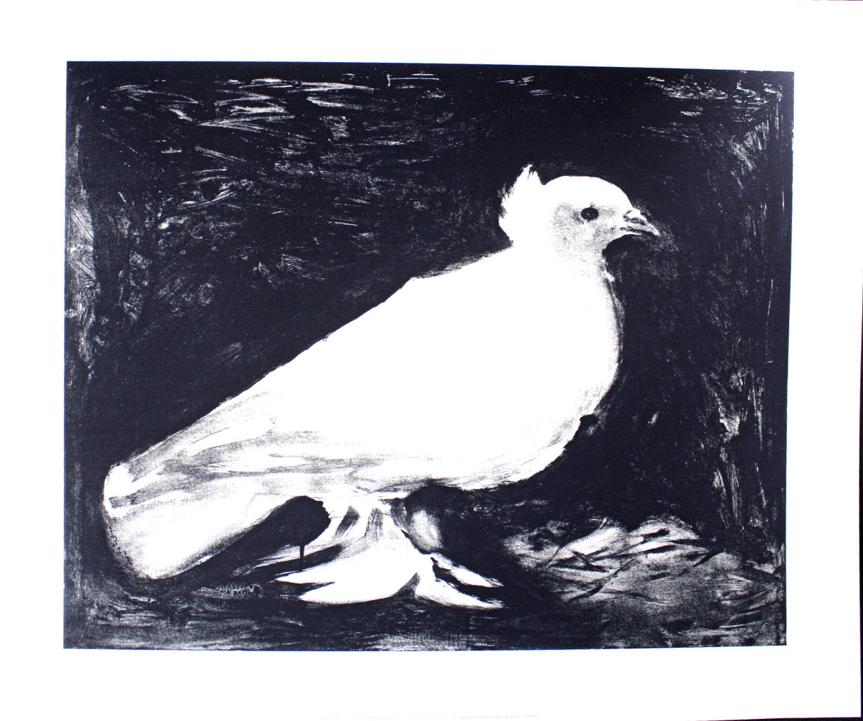 PABLO PICASSO. NACH. Lithografischer Offsetdruck „Taube 1949“.