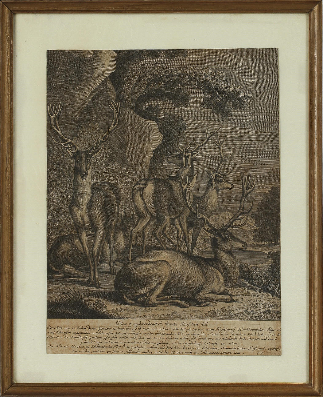 MARTIN ELIAS RIDINGER. Etsningar, 4 st, 1700-tal Tyskland.