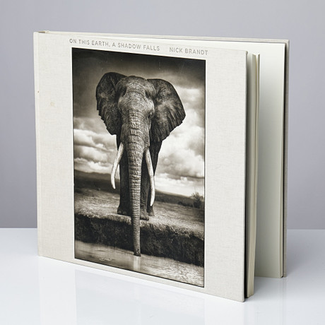 NICK BRANDT, signerad fotobok, "On This Earth, A Shadow Falls" 2nd edtition. Foto, Kameror ...