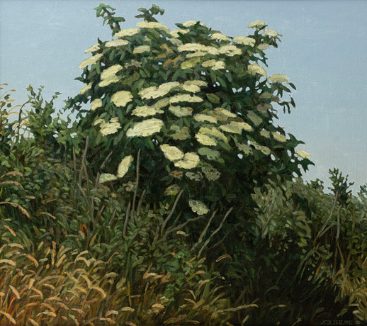 NIKOLAUS STÖRTENBECKER (19402022). Holunderbusch. Konst Måleri