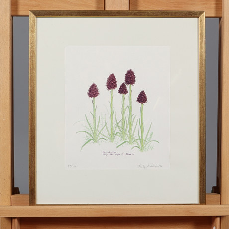 ROLF LIDBERG. LITHOGRAPHY, signed and numbered 67/150. Art - Engravings ...