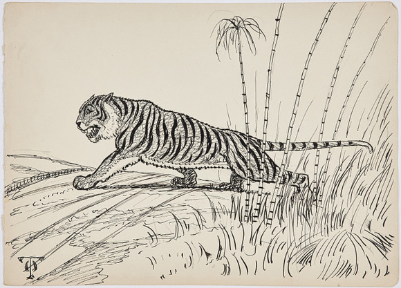 OLOF THUNMAN (1879-1944). TECKNING, föreställande tiger, tusch/blyerts ...