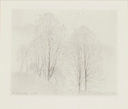 GUNNAR NORRMAN. Tree, signed and dated -78, in pencil. Art - Drawings ...