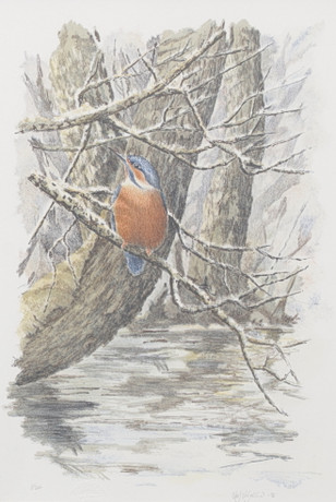 leif-liljeblad-kuningaskalastaja-v-rillitografia-signeerattu