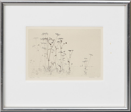 GUNNAR NORRMAN. “Heracleum”, lithograph, signed and numbered 4/20. Art ...