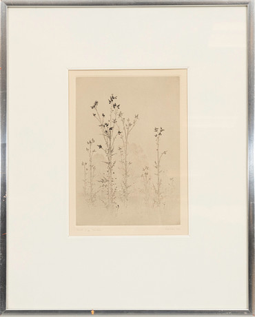 GUNNAR NORRMAN. “Marsh thistle” dry needle, signed and dated 1975 ...