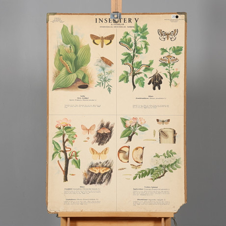 SCHOOL PLAN, “Insects V”. Art - Engravings & Prints - Auctionet