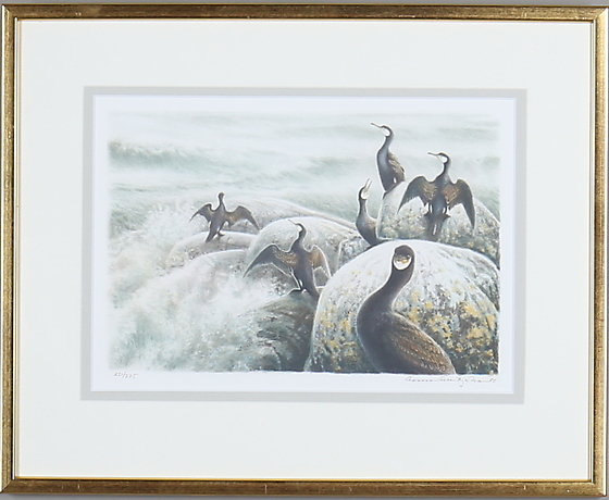 gunnar-gebbe-bj-rkman-bird-study-lithograph-signed-and-numbered