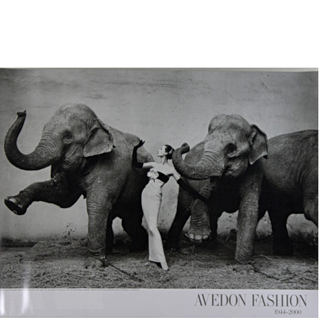 アート・デザイン・音楽 Helmut Newton: the stern years 1973-2000 Helmut Newton: the stern years 1973-2000 (Stern Fotografie