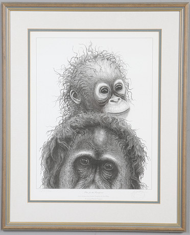GARY HODGES (B. 1954-). PLEA FOR THE RAINFOREST. Art - Engravings ...