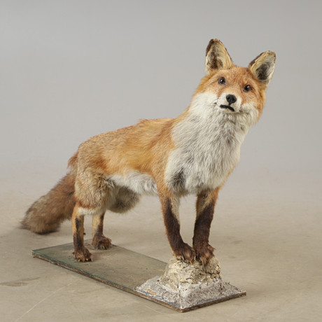 Qiz kuchli oqim bilan olovga siydi