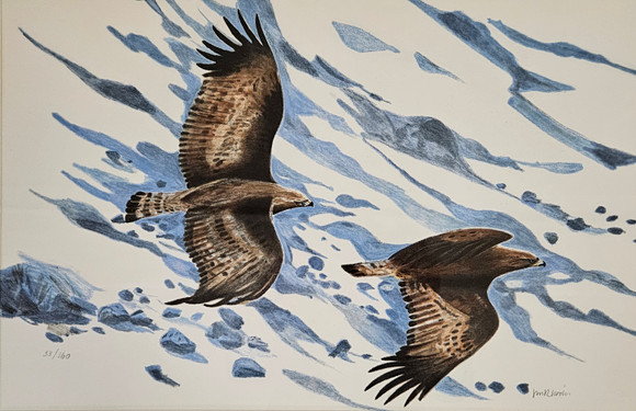 Birds of prey of the Indian subcontinent. Books, Maps