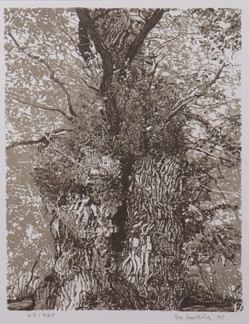 BO HULTÉN. lithography, tree. Art - Engravings & Prints - Auctionet