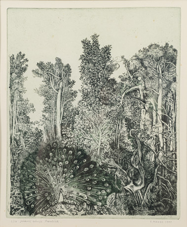 OIDENTIFIERAD KONSTNÄR. Forest motif with peacock, etching, signed “F ...