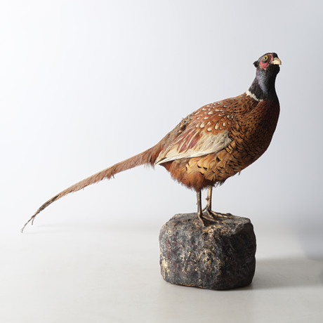 OIVA TOIKKA. A glass “Pheasant” bird, signed and labelled