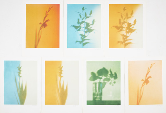 ANDY WARHOL. Warhol 
