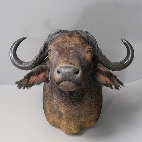 LISA LARSON (1931-2024). Two figurines, “Buffalo”, from the series
