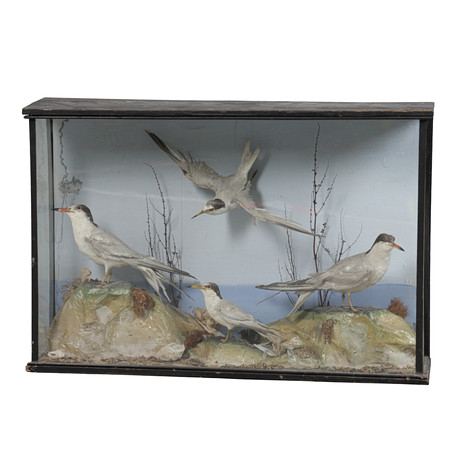 OIVA TOIKKA. GLASS BIRD FIGURINE, Arctic tern (Laspintiira
