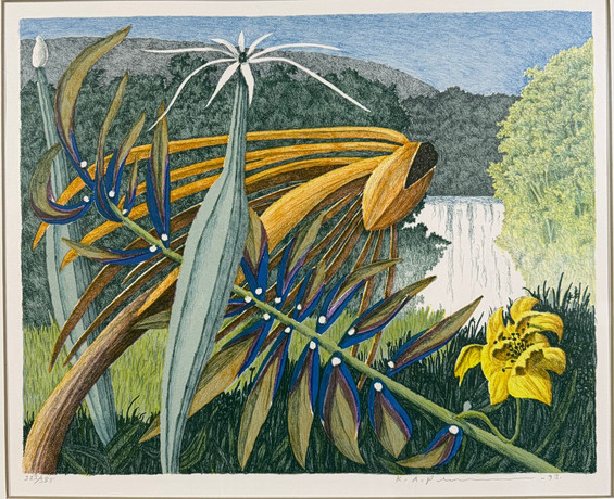 KARL AXEL PEHRSON. Färglitografi, vattenfall och blommor, numrerad, 323/385 signerad, daterad 93.