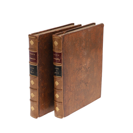 The New Oxford Illustrated Dickens; Full Set, 21 Volumes. Books