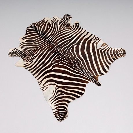 TAISTO KAASINEN. Zebra, figurine, stoneware, Arabia. Ceramics
