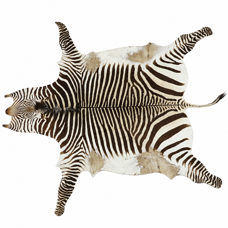 TAISTO KAASINEN. Zebra, figurine, stoneware, Arabia. Ceramics