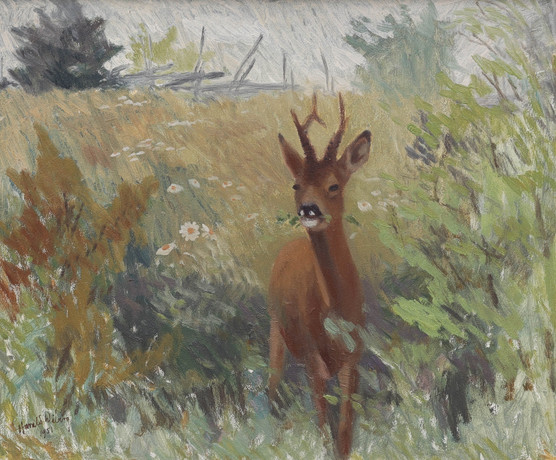 HARALD WIBERG. olja på pannå, Råbock på sommaräng, signerad, daterad 1951. på auktion hos Auktionsmagasinet Vänersborg