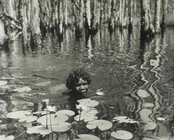 SVEN GILLSÄTER. Fotografi, badande barn, näckrosor, 1900-tal. på auktion hos Hälsinglands Auktionsverk