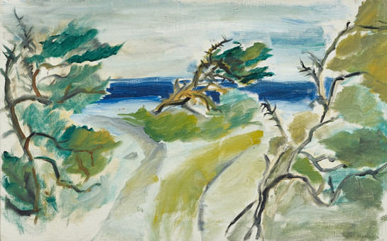 AGNES FRIDEBORG SVENSSON (Glimåkra 1910-2001 Vinslöv), Yttersta skärgården, signerad, olja på duk.