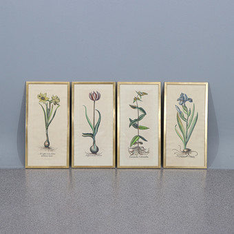HANDKOLORERADE GRAFISKA BLAD, FYRA ST. Blommor. 1800-tal eller ädre.