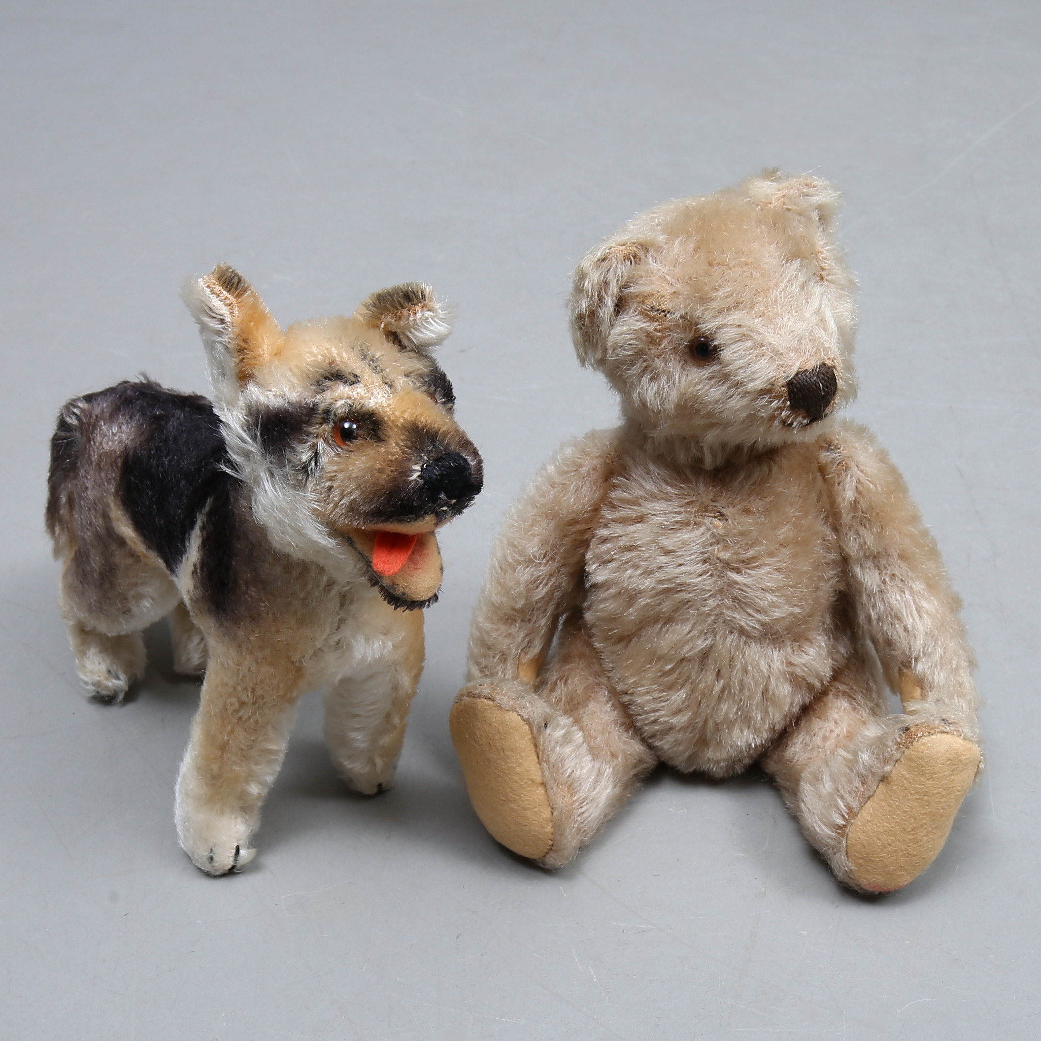 teddy bear german shepherd