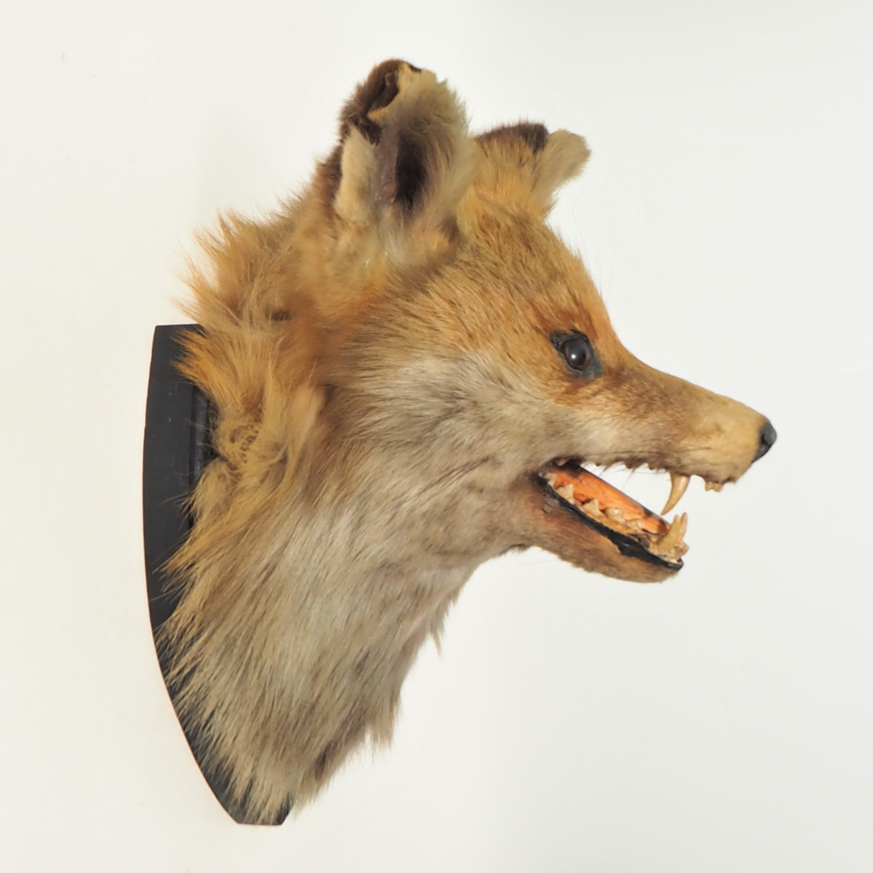 stuffed fox for sale